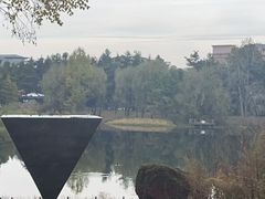 -美人松苑