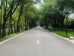 -柯岩风景区