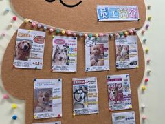 -汪说·狗咖·拼豆·宠物周边DIY(旺城大厦店)