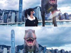-海港城