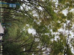 -森林公园(尖草坪区)
