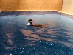 -斯博特游泳俱乐部(永安里店)