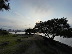 -台场海滨公园船码头
