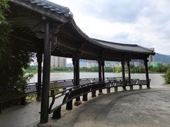 -飞来湖湿地公园