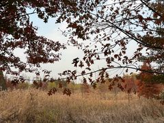 -昆山城市生态森林公园