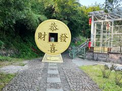 -磐安舞龙峡景区