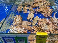 -三亚火车头万人海鲜广场