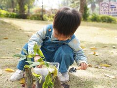 -Nice mama奈思妈妈婴幼儿托育中心(五缘湾中心店)