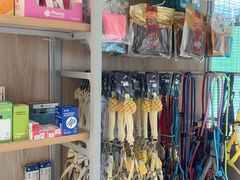 -艾贝尔宠物医院 ·内科全科(梁溪路店)