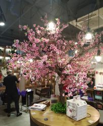 -逸丝风尚yesfashion造型