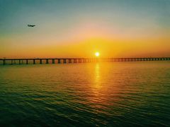 -宝安西湾红树林湿地公园