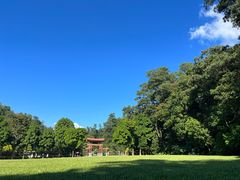 -深圳仙湖植物园