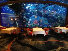 -迪拜帆船酒店海底餐厅