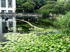 -苏州河梦清园环保主题公园