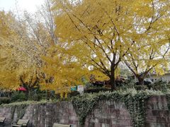 -苏州河梦清园环保主题公园