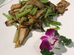 榄菜杏鲍菇-天厨妙香素食餐厅(清华店)