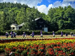 -富田农场