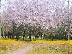 -洨河生态公园