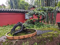 -成都武侯祠博物馆