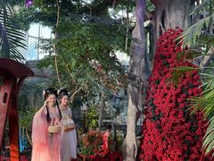 -东方华地城湿地温泉度假区