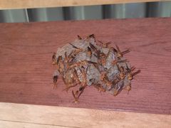 -黄金沟旅游风景区