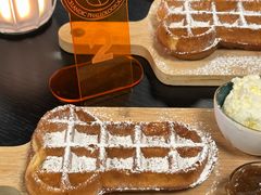 -冰岛阴茎博物馆