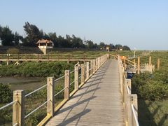 -北海金海湾红树林生态旅游区