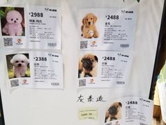 -龟与熊猫宠物公园(南坪店)