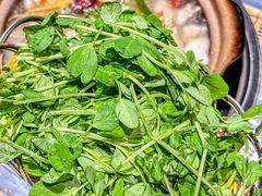 -争鲜·鲍鱼鸡煲(美邻中心店)