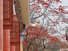 -广州中山纪念堂