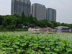 -南翔镇银翔湖公园