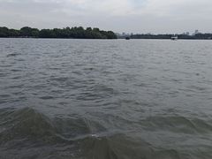 -西湖游船