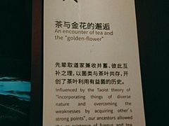 -茯茶镇