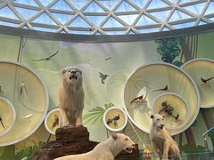 -陕西自然博物馆