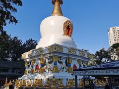 -护国法轮寺