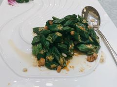 -沈阳玫瑰大酒店