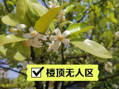 -武汉光谷K11