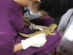 -爱诺耐芙动物医院(万博店)