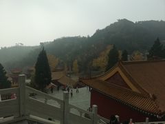 -遵化市禅林寺古银杏风景园