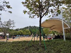 -海珠儿童公园