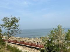 -养马岛旅游度假区