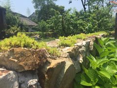 -田园东方蜜桃村的田野营地