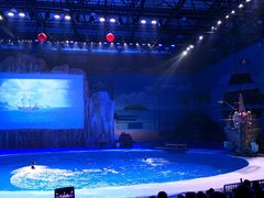 -华夏文旅海洋公园