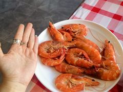 -津门小红坊海鲜·海胆水饺·夜宵(河西店)