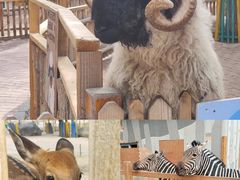 -水上乐园·欢乐世界