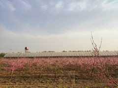 -汉长安城未央宫国家考古遗址公园