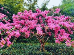 -杭州城北体育公园