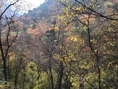 -北京上方山国家森林公园