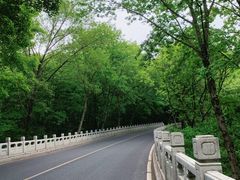 -灵谷景区