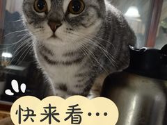 -隅cafe(傅厚岗店)